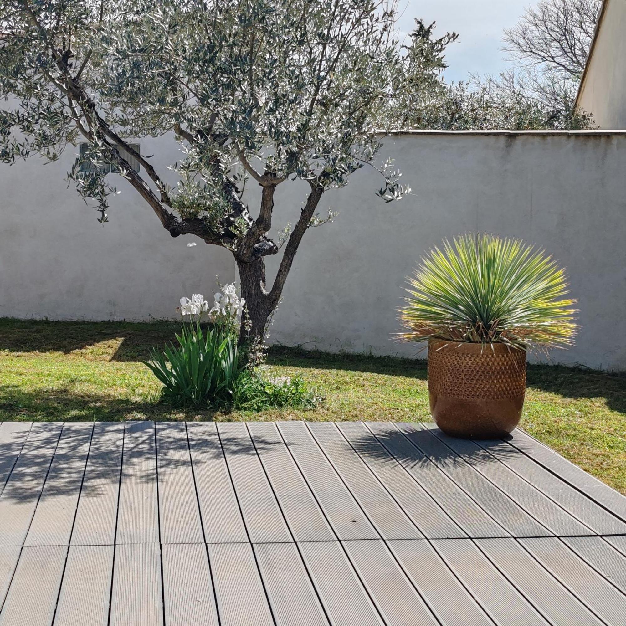 La Maison De Celine Beaumes-de-Venise Esterno foto